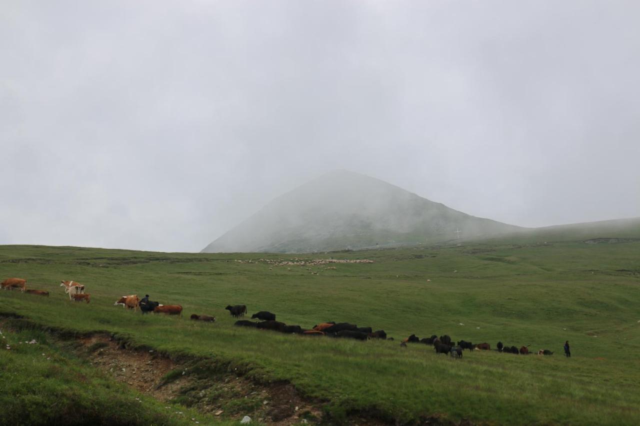Cabana Transalpina Ranca Esterno foto